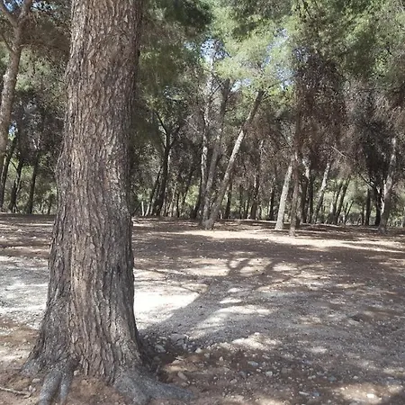 Townhouse, Adosado Con Encanto -130 M2 - Wifi 600 Mb - Community Pool - Private Patio *